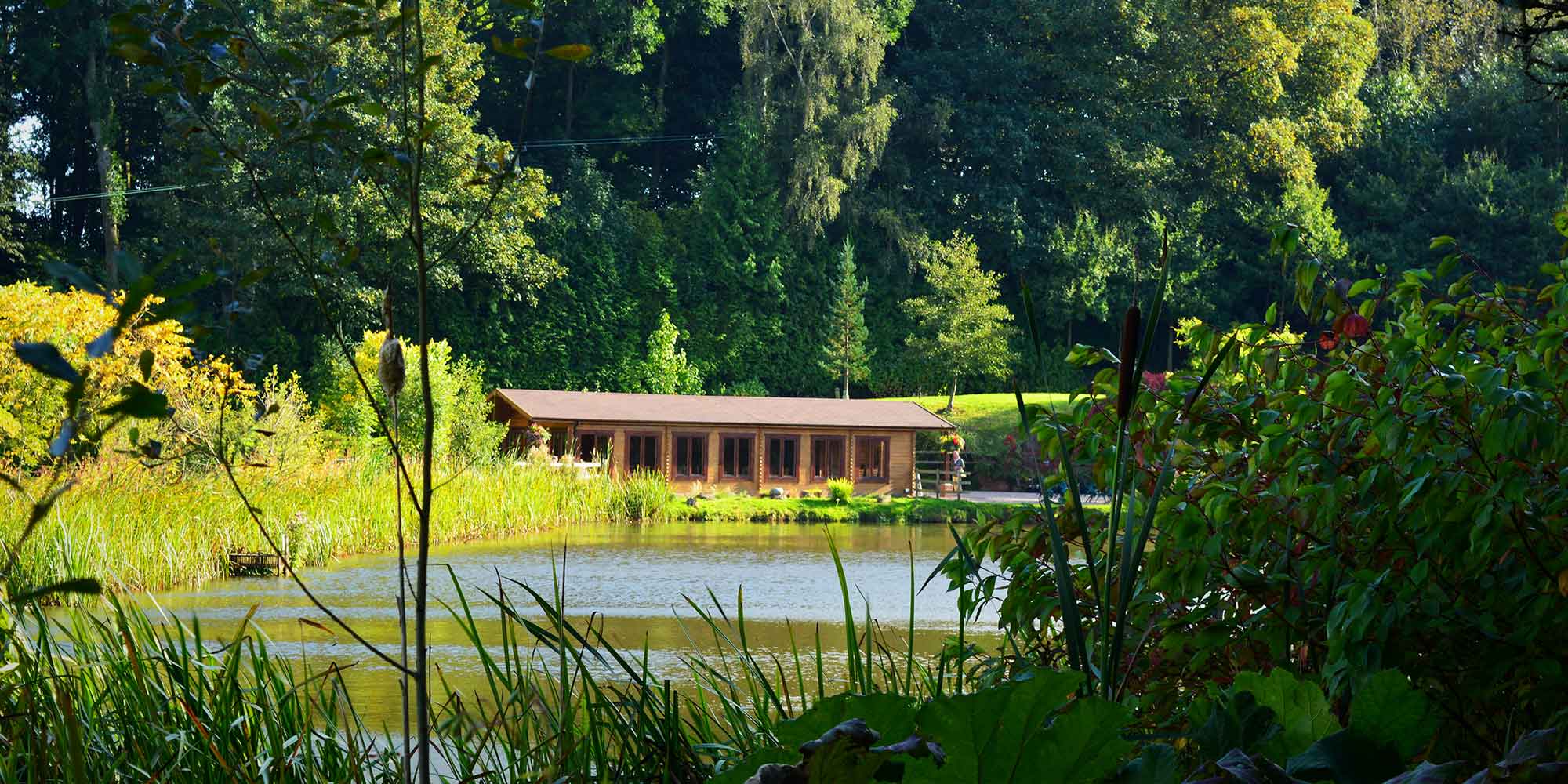 building-by-lake